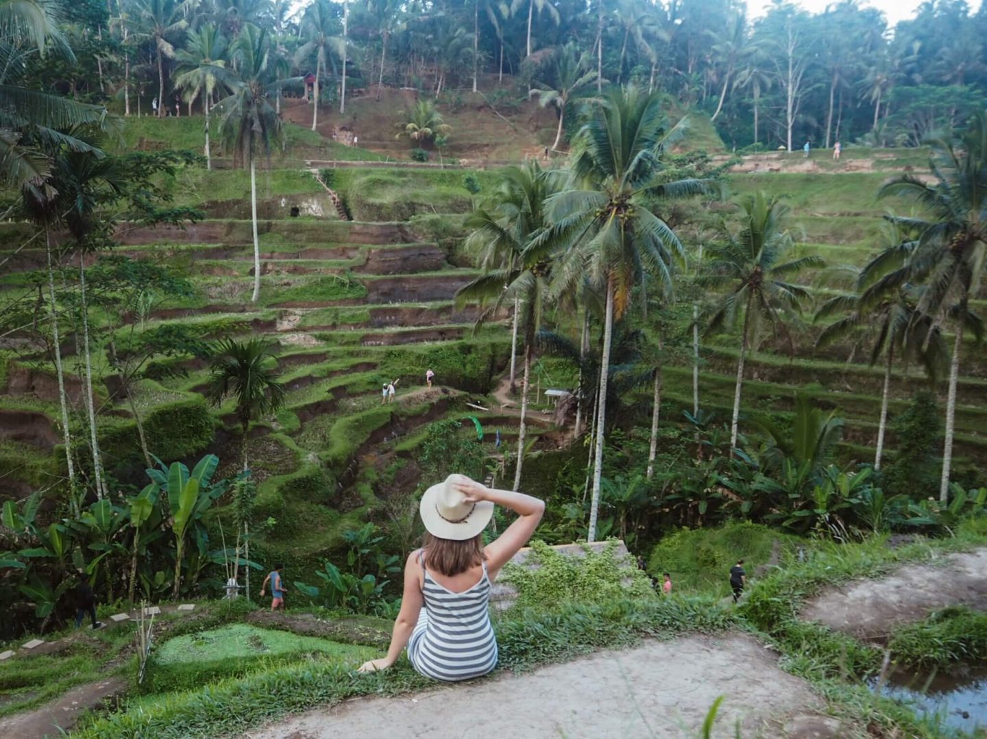 Tegalalang Rice Terraces (things to do in Ubud Bali)