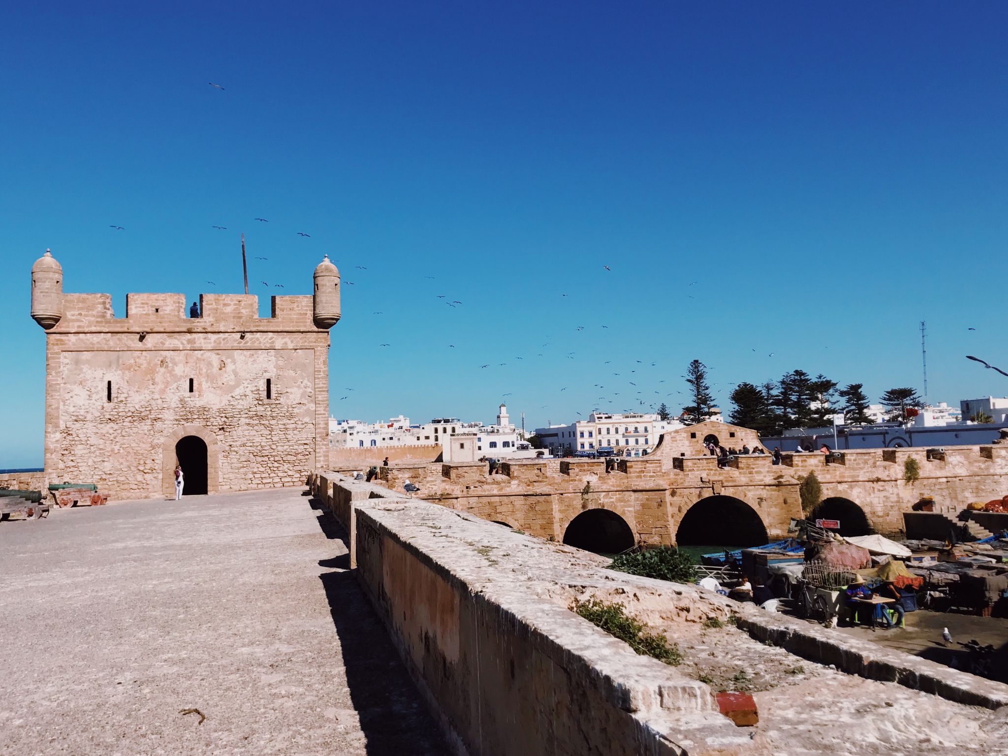 Morocco Itinerary Essaouira