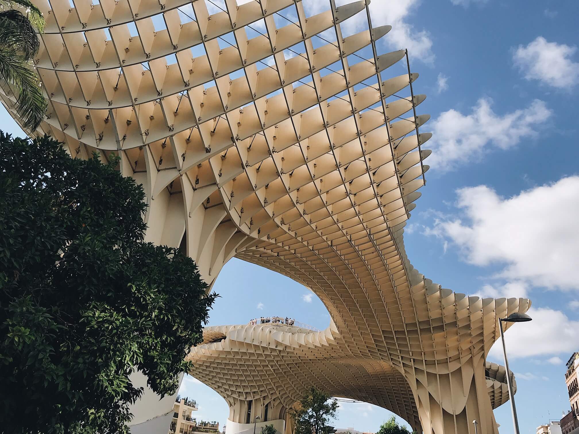 Things to do in Seville Spain metropol parasol