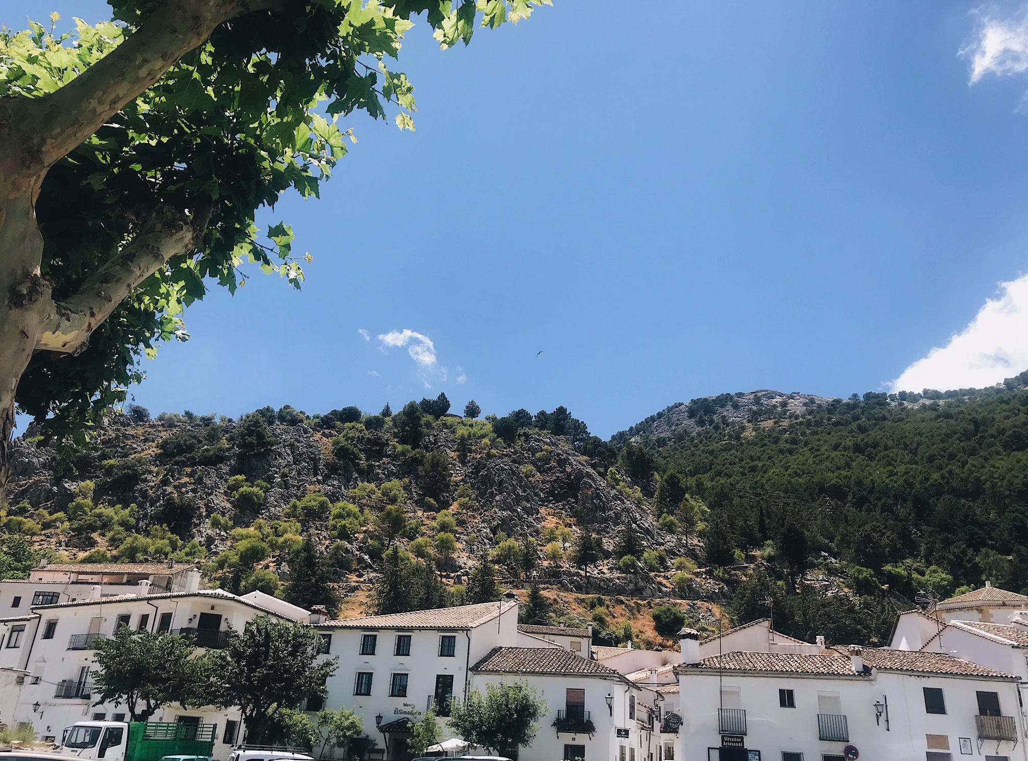 Excursion d'une journée de Séville aux villages blancs de Ronda
