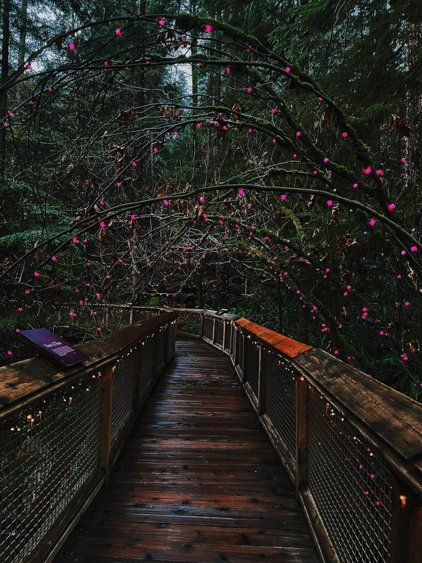 Capilano fun things to do vancouver