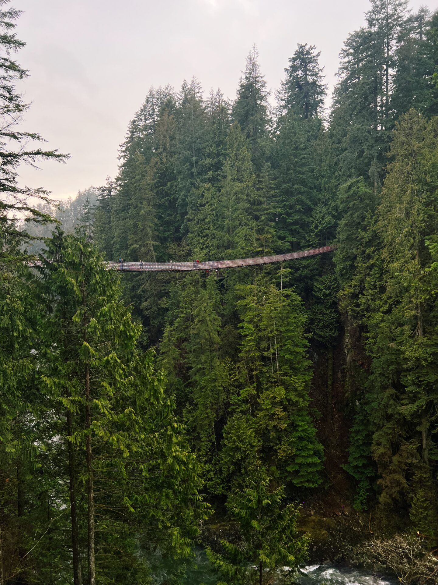 Capilano Suspension Bridge Vancouver 