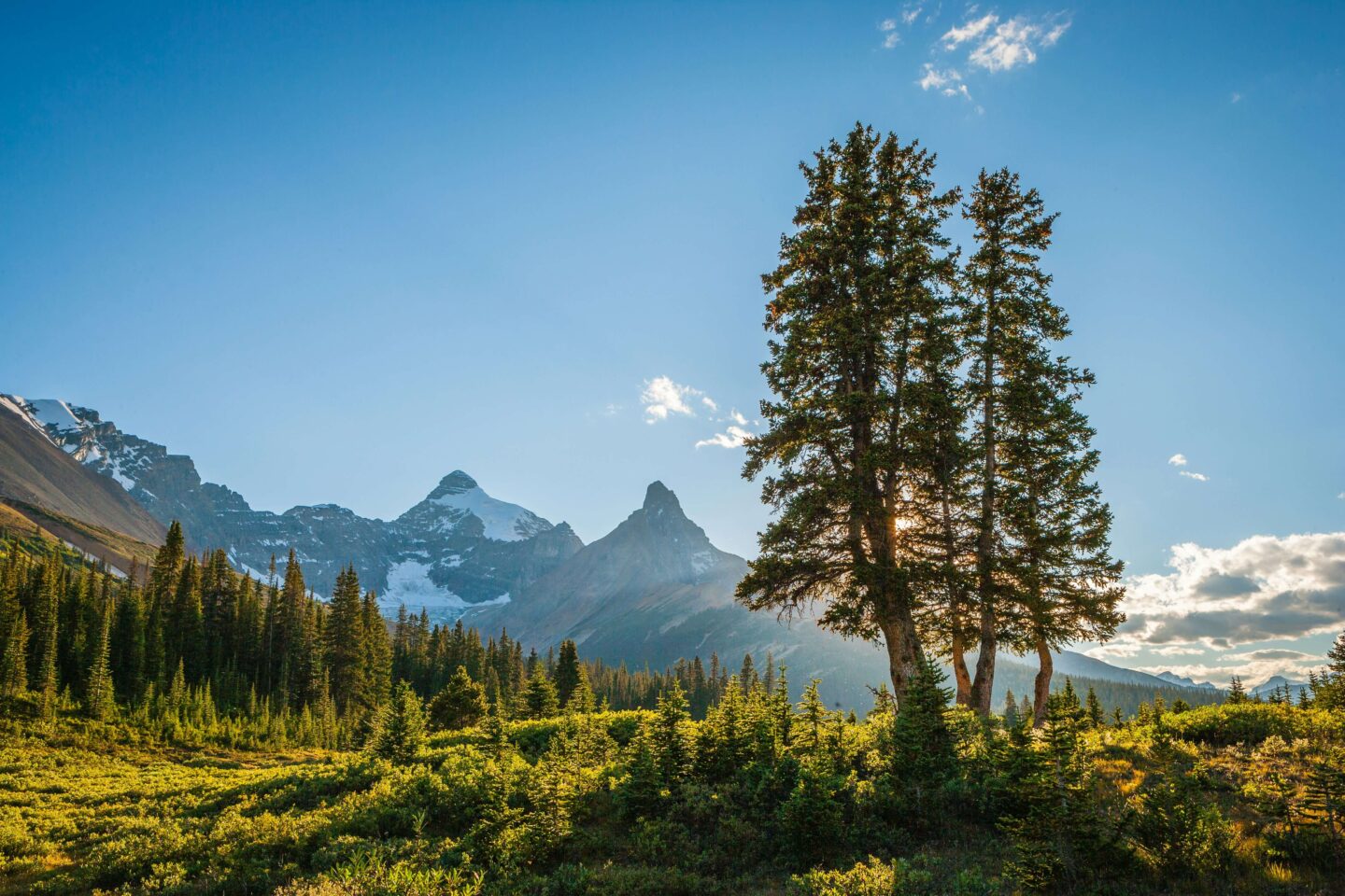 Western Canada road trip